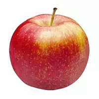 Яблука сорту Джонаголд (jonagold)