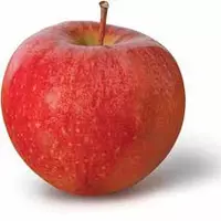 Яблука сорту Гала (gala)